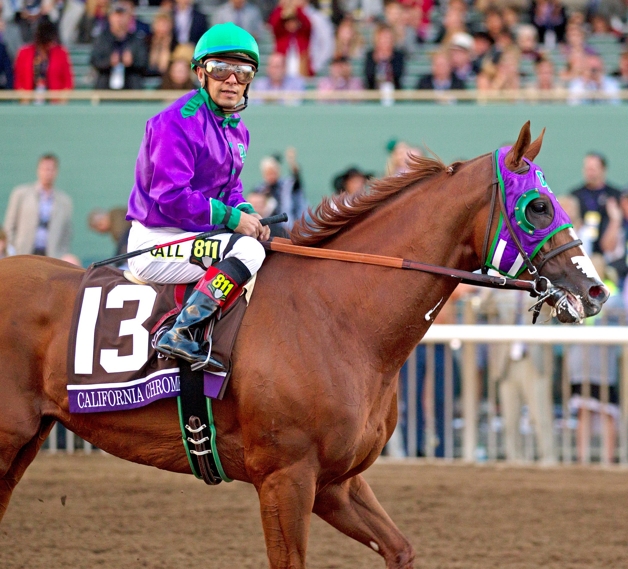 California Chrome likely to run in Hollywood Derby